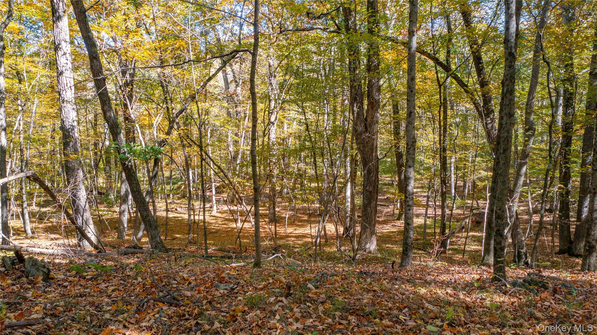 Rhinebeck, New York 12572, United States, ,Land,Active,229729