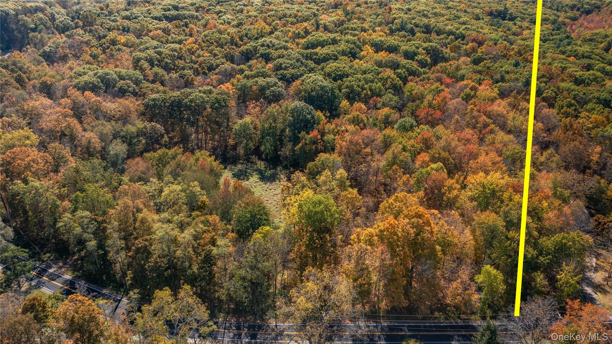 Rhinebeck, New York 12572, United States, ,Land,Active,229729