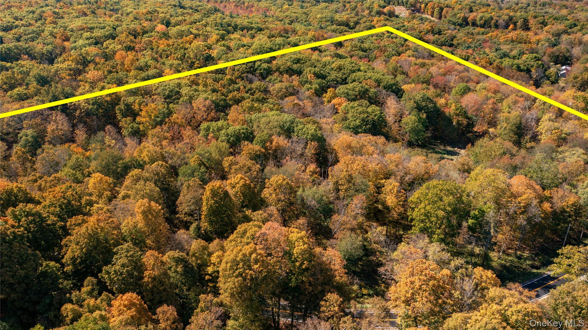 Rhinebeck, New York 12572, United States, ,Land,Active,229729