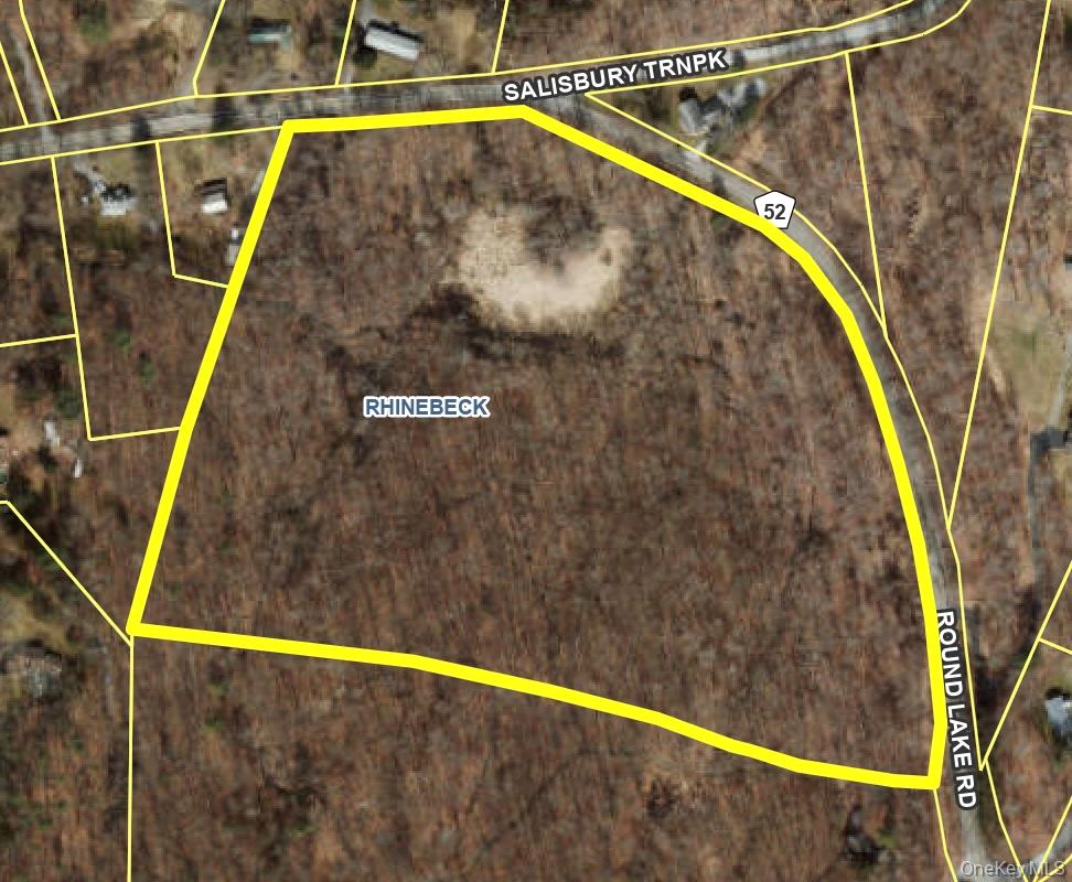 Rhinebeck, New York 12572, United States, ,Land,Active,229729