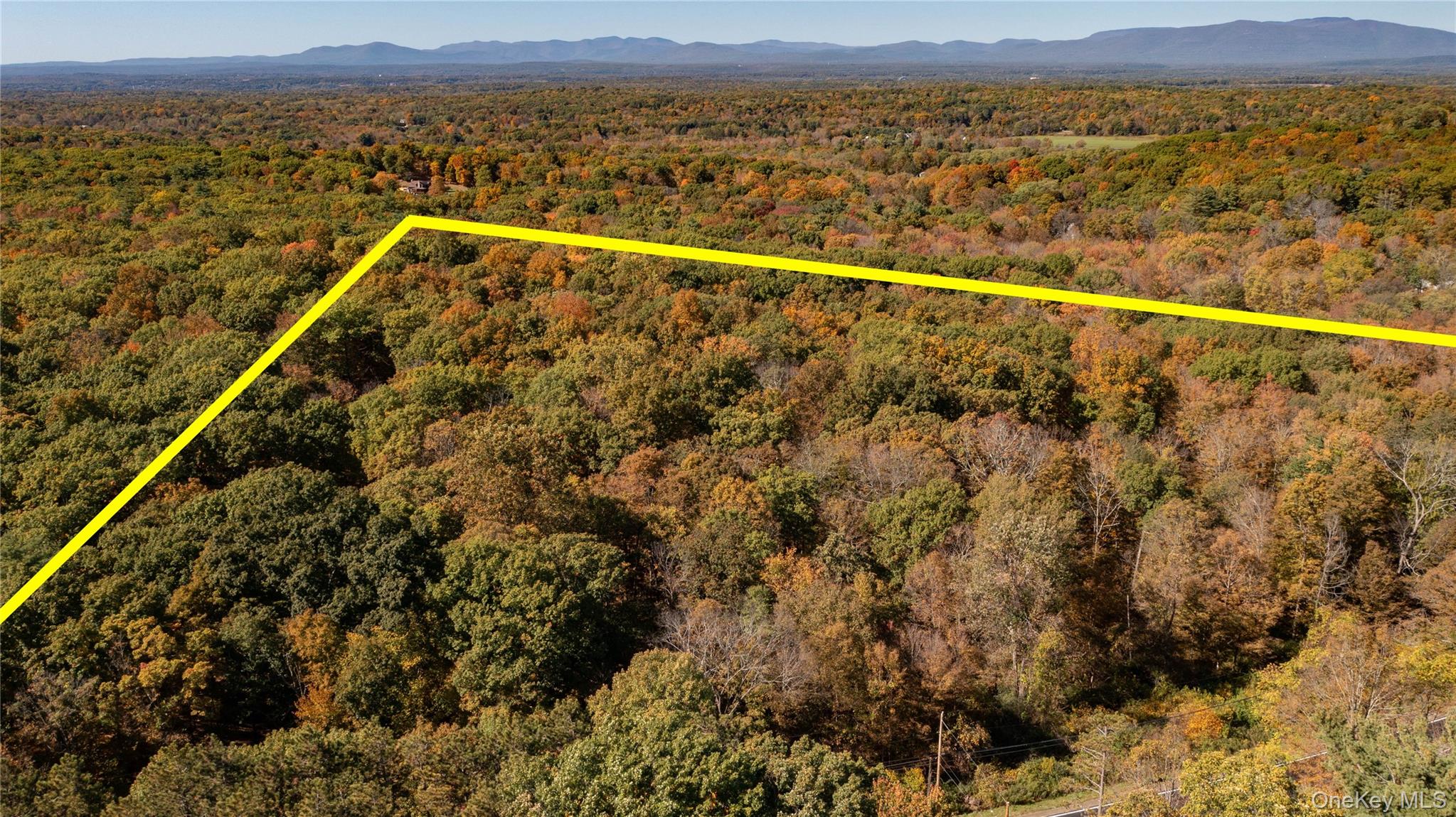 Rhinebeck, New York 12572, United States, ,Land,Active,229729