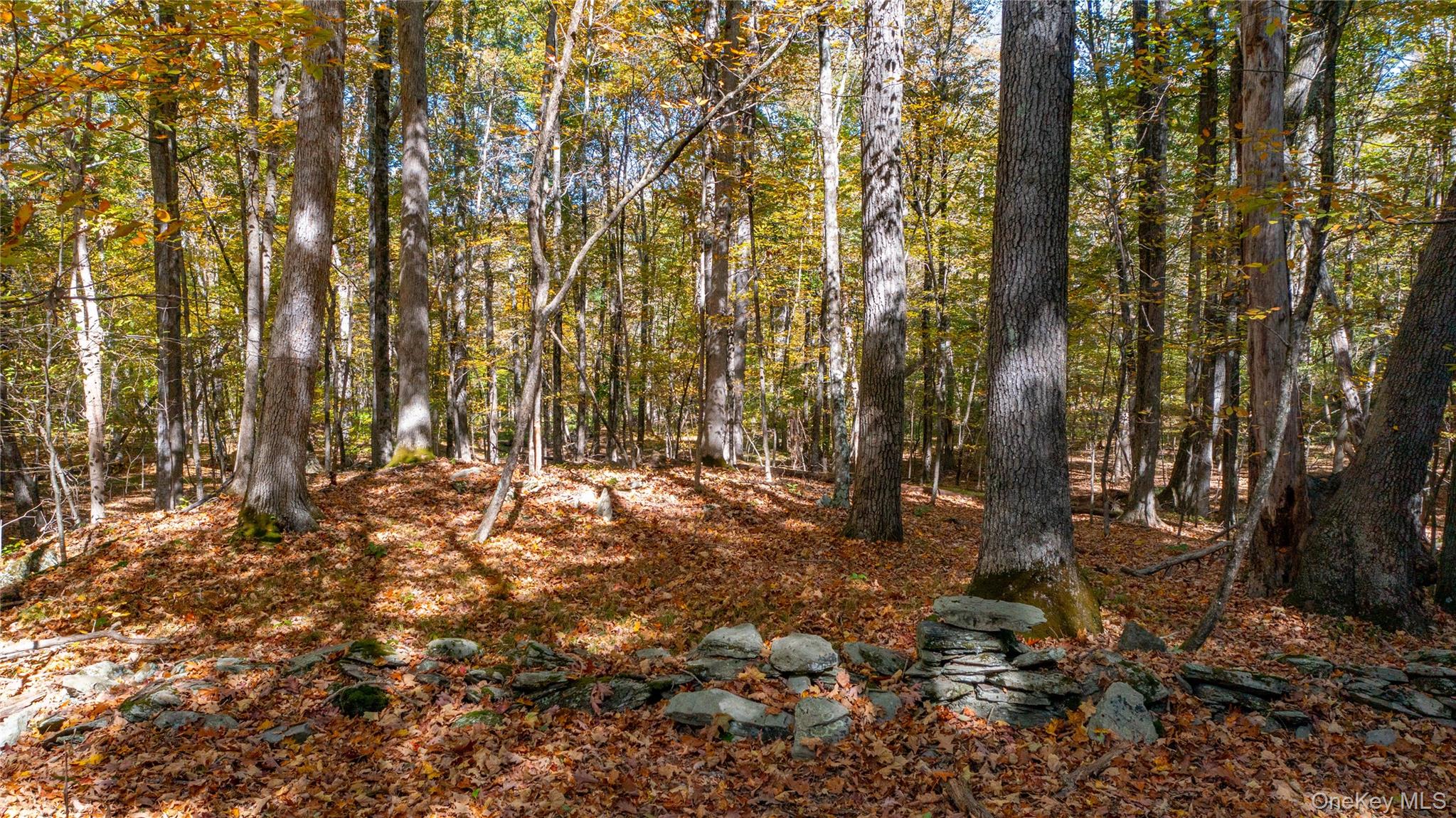 Rhinebeck, New York 12572, United States, ,Land,Active,229729