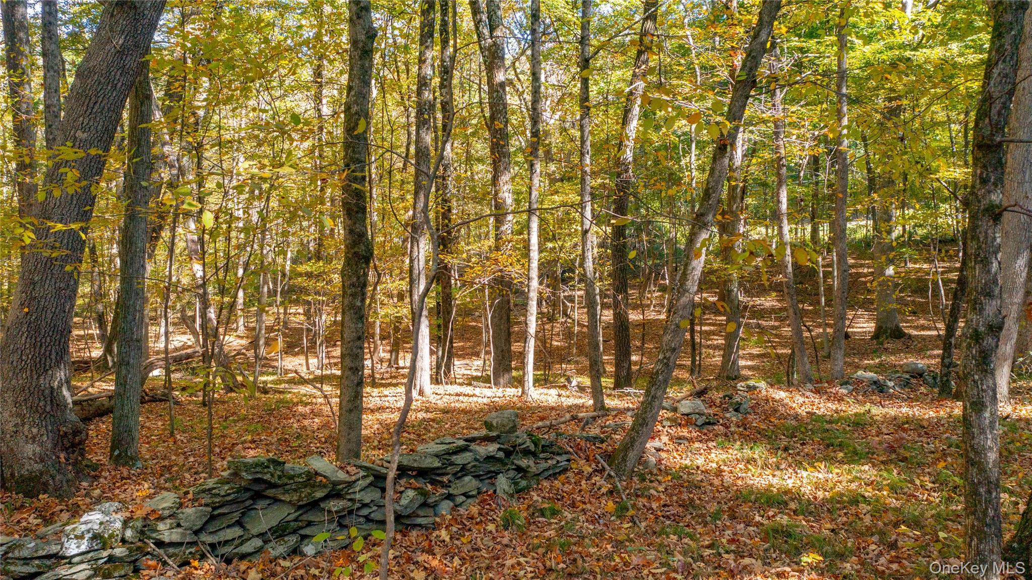 Rhinebeck, New York 12572, United States, ,Land,Active,229729