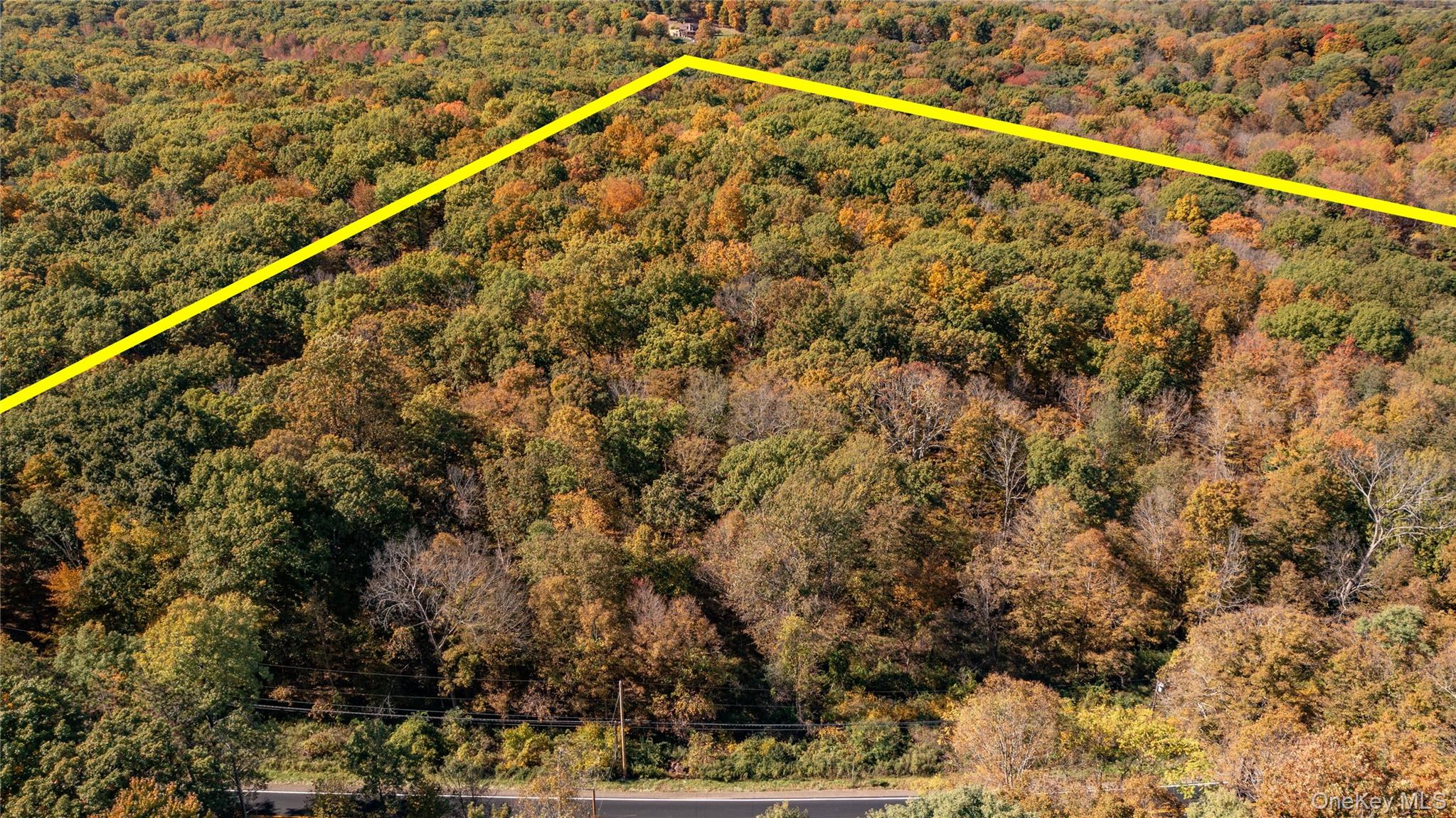 Rhinebeck, New York 12572, United States, ,Land,Active,229729