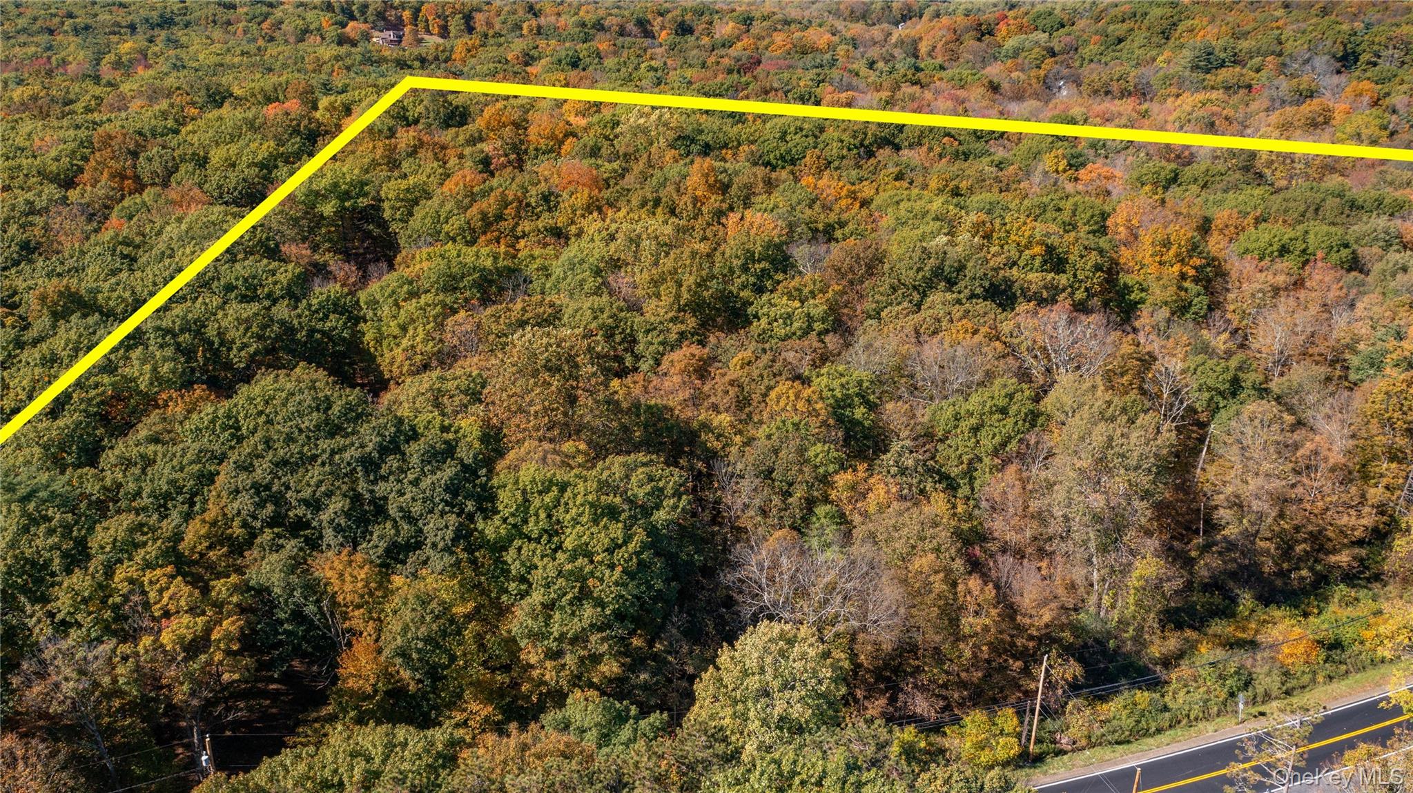 Rhinebeck, New York 12572, United States, ,Land,Active,229729