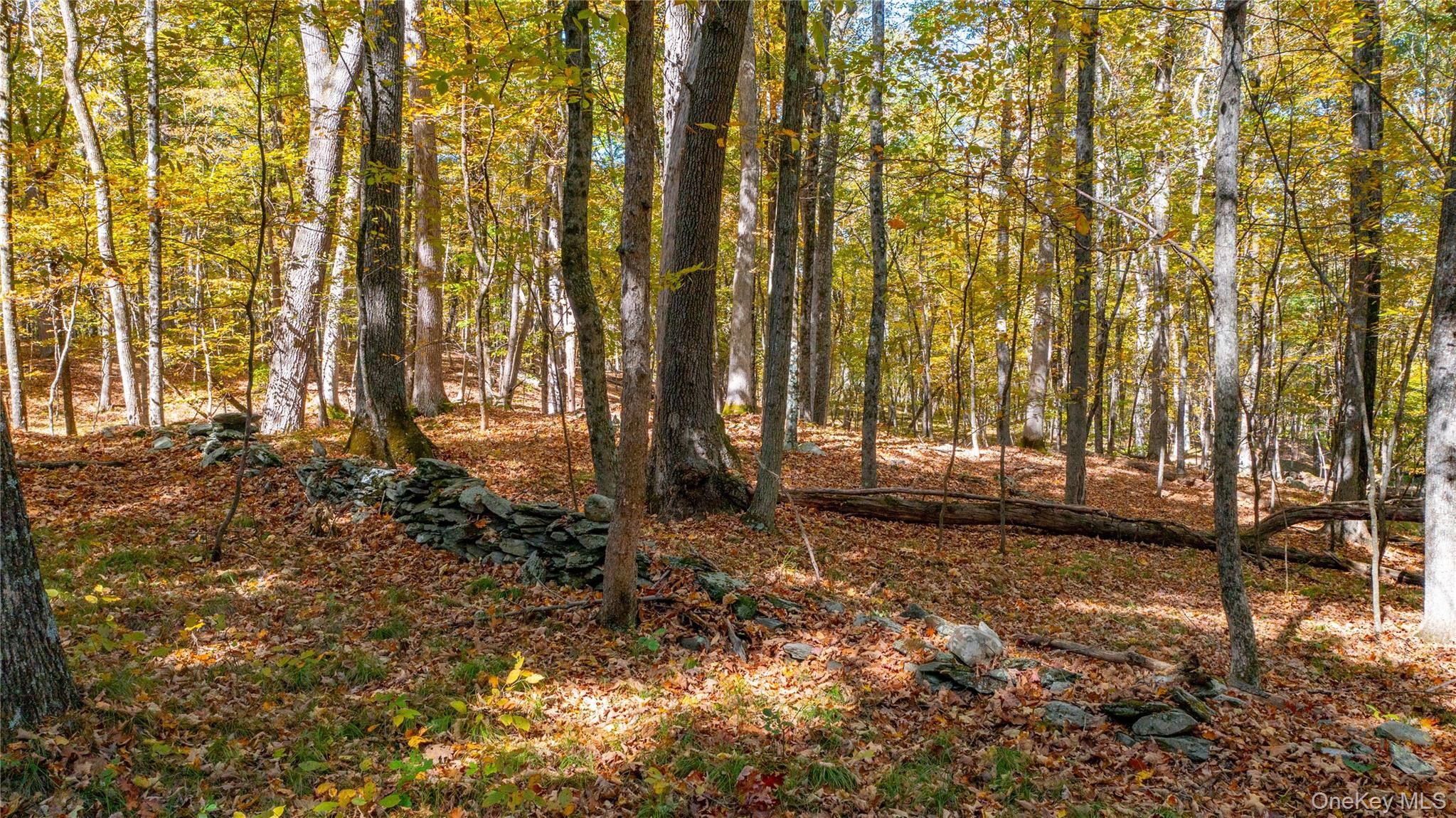 Rhinebeck, New York 12572, United States, ,Land,Active,229729