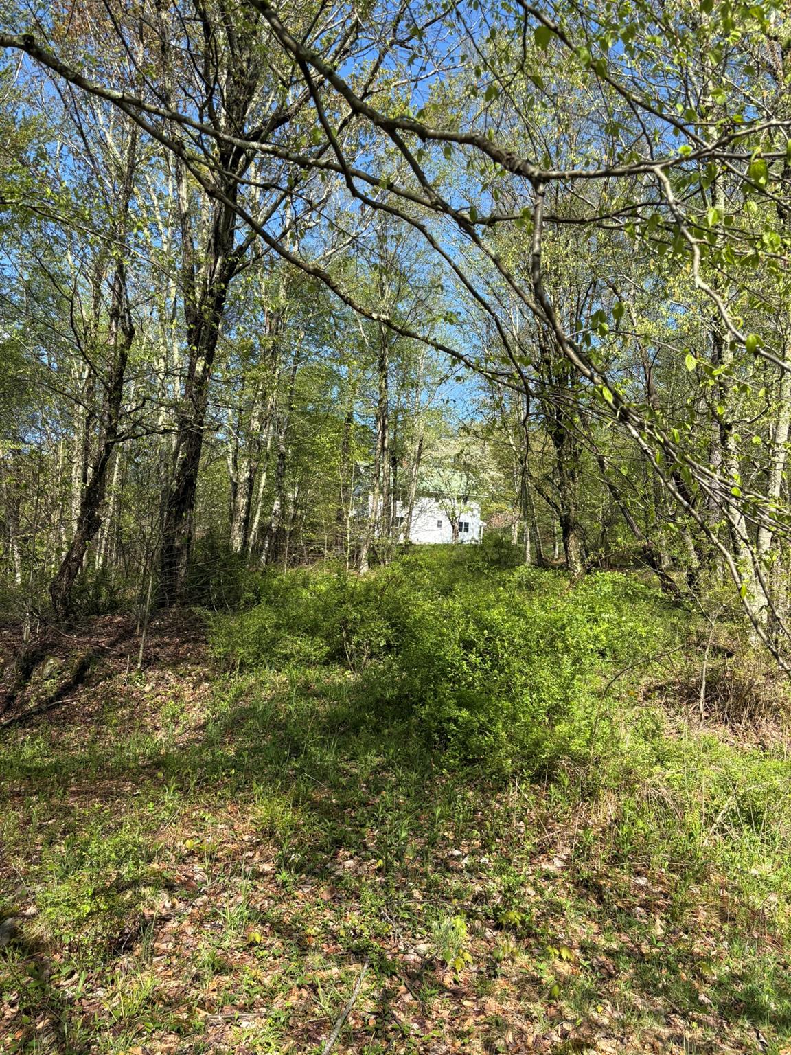 1239 Shandelee Road, Livingston Manor, New York image 42