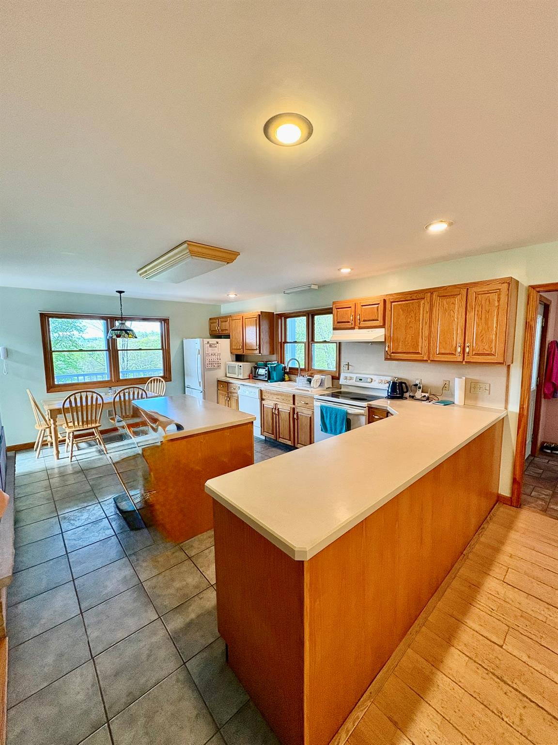 1239 Shandelee Road, Livingston Manor, New York image 4