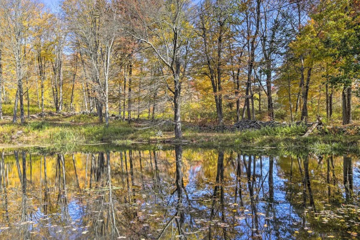 7 Tower Hill Road, Pawling, New York image 37