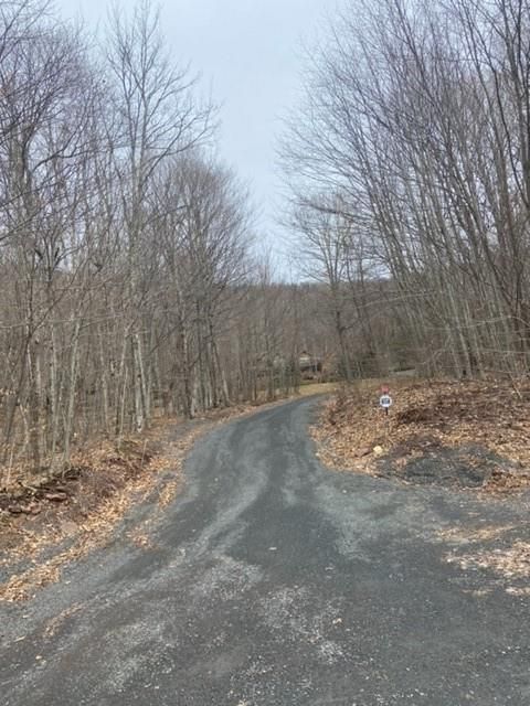 Vacant Land For Sale - 219 Bailey Road<br/> Jewett, NY 12444