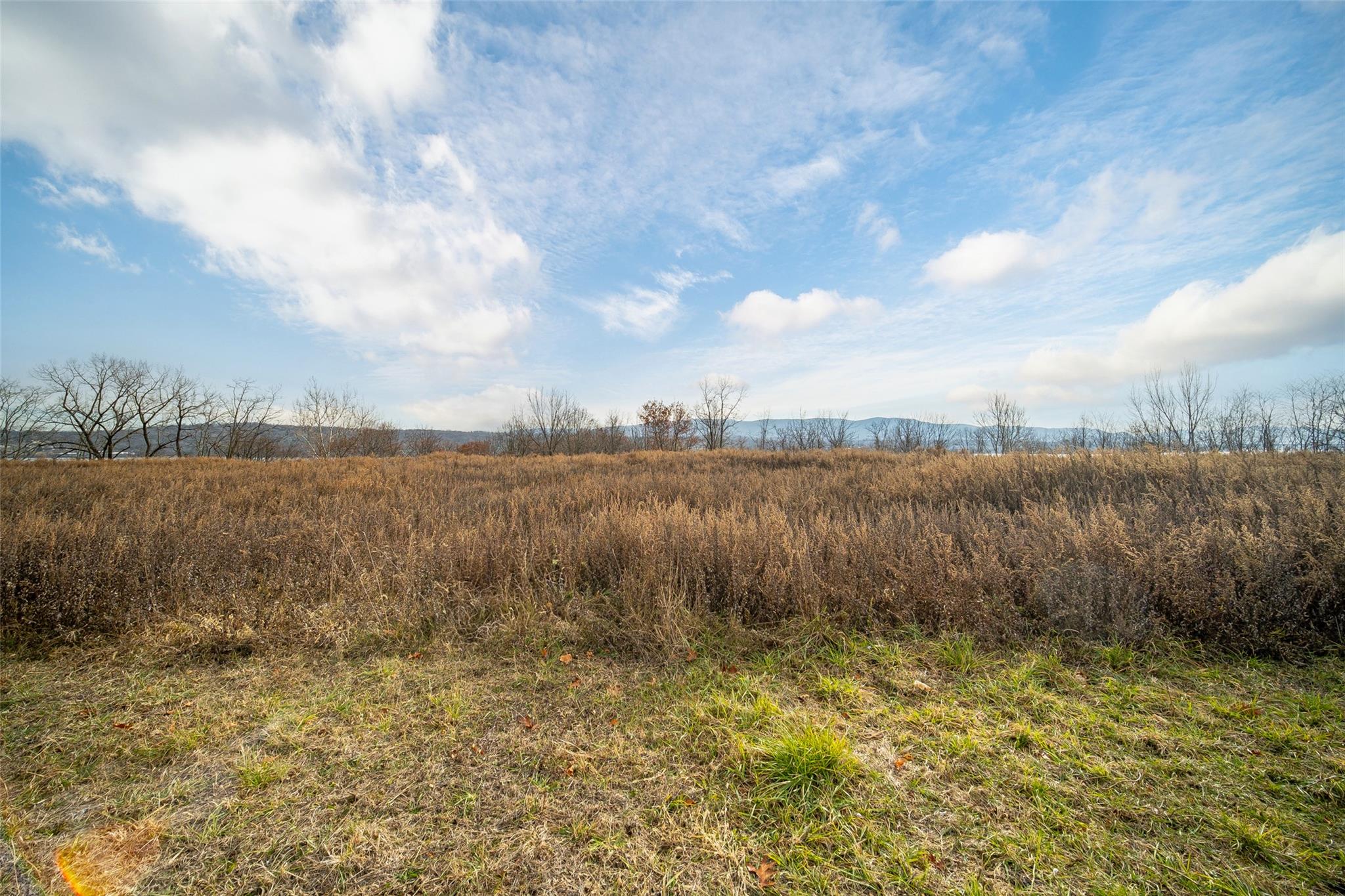 Oak St & River Rd Road, Newburgh, New York image 9