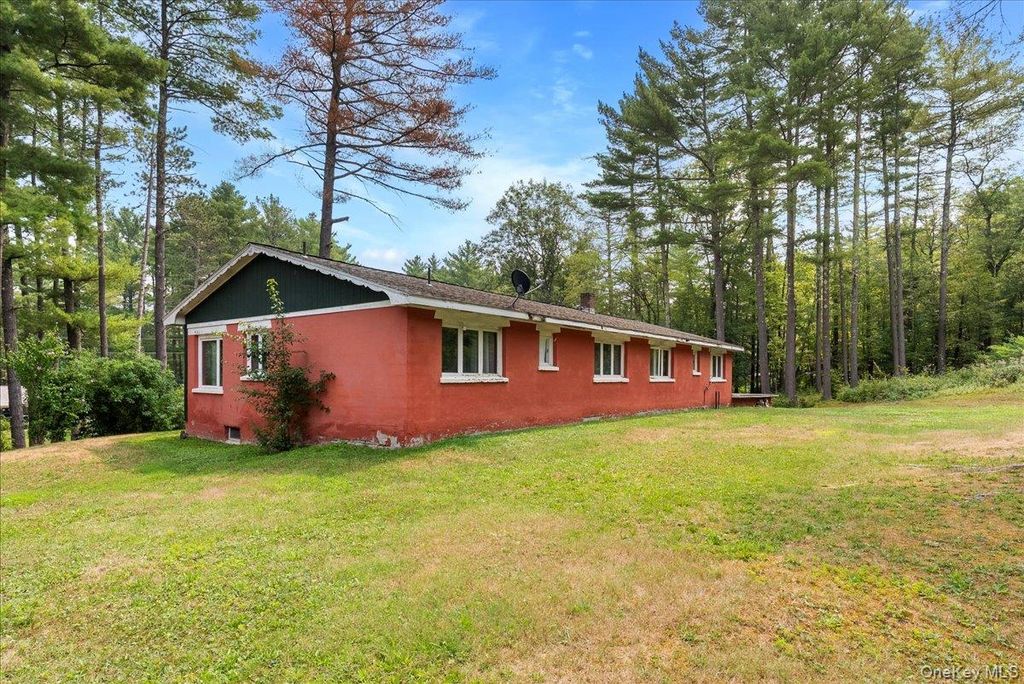 Photo of 24 Alpine Drive, Cairo, NY 12473 (MLS # 1028987)
