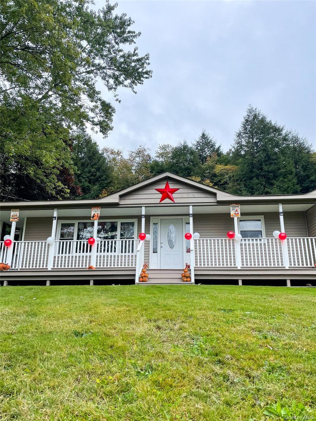 Photo of 16 John Gray Road, Livingston Manor, NY 12758 (MLS # 955945)