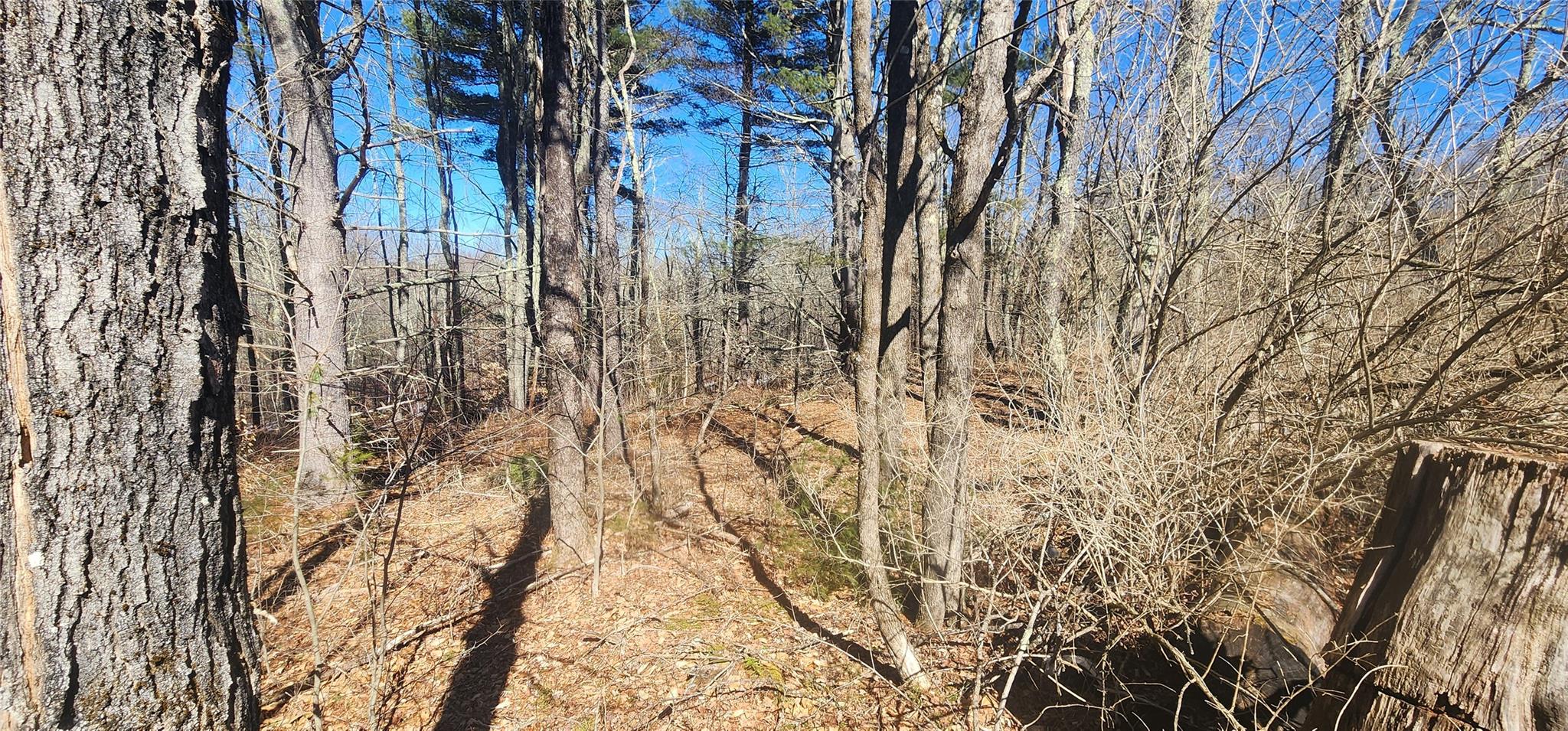 63 Harris Road, Harris, New York image 5