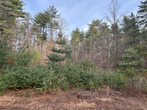 Vacant Land For Sale - 1 Avenue B<br/> Orange County, Godeffroy, NY 12729