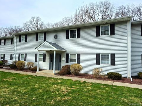 12 Field Court D Fishkill NY 12524