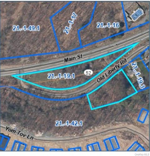 Vacant Land For Sale - T/B/D Old Liberty<br/> Woodbourne, NY 12788