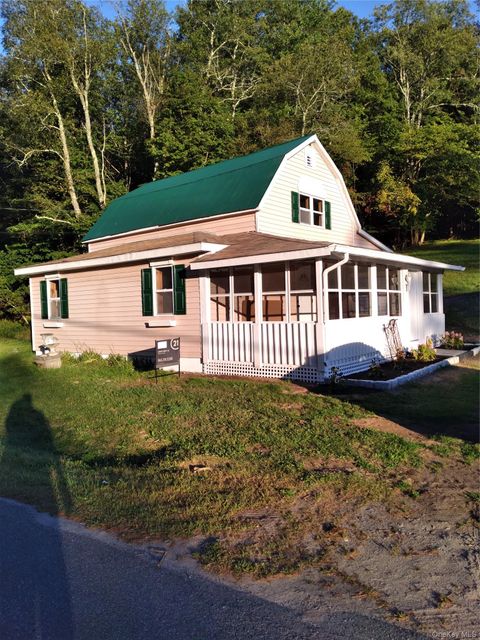 Homes For Sale - 31 Willowemoc Road<br/> Sullivan County, Livingston Manor, NY 12758