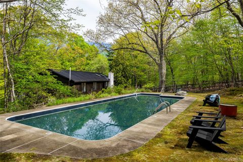 Tiny photo for 1 Van Buren Drive, Hillsdale, NY 12516 (MLS # 1002049)