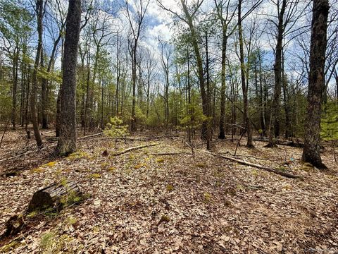 Vacant Land For Sale - Marko Drive<br/> Sullivan County, Yulan, NY 12528