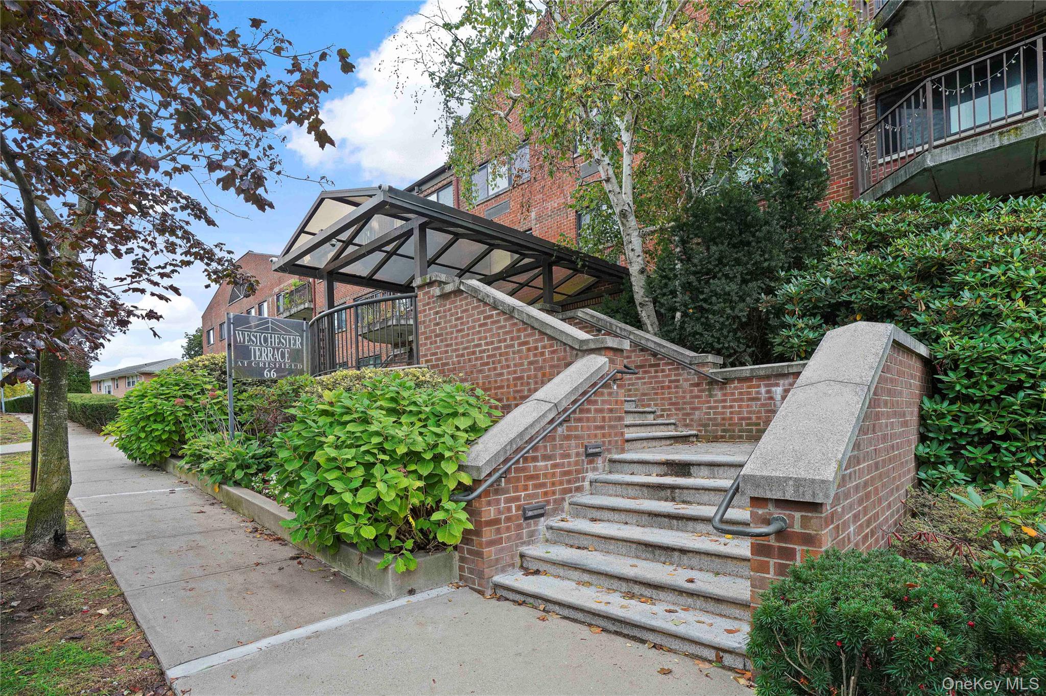 66 Crisfield Street 3D