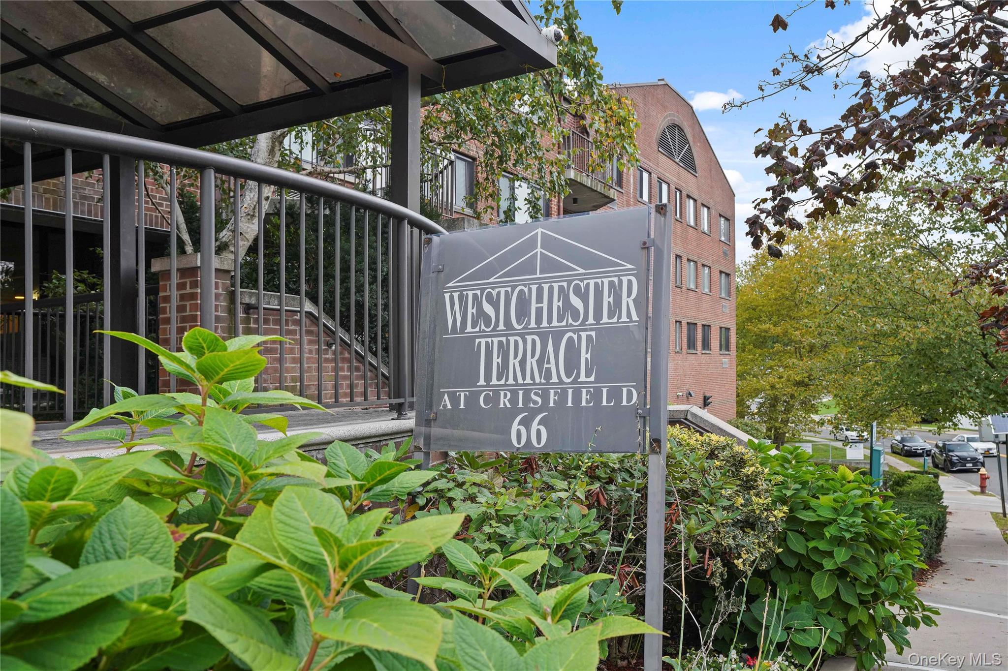 66 Crisfield Street 3D