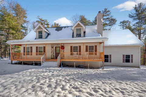 131 Ozeriany Road Glen Spey NY 12719