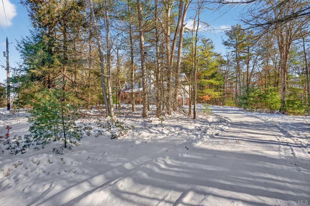 Photo of 131 Ozeriany Road, Glen Spey, NY 12719 (MLS # 943916)