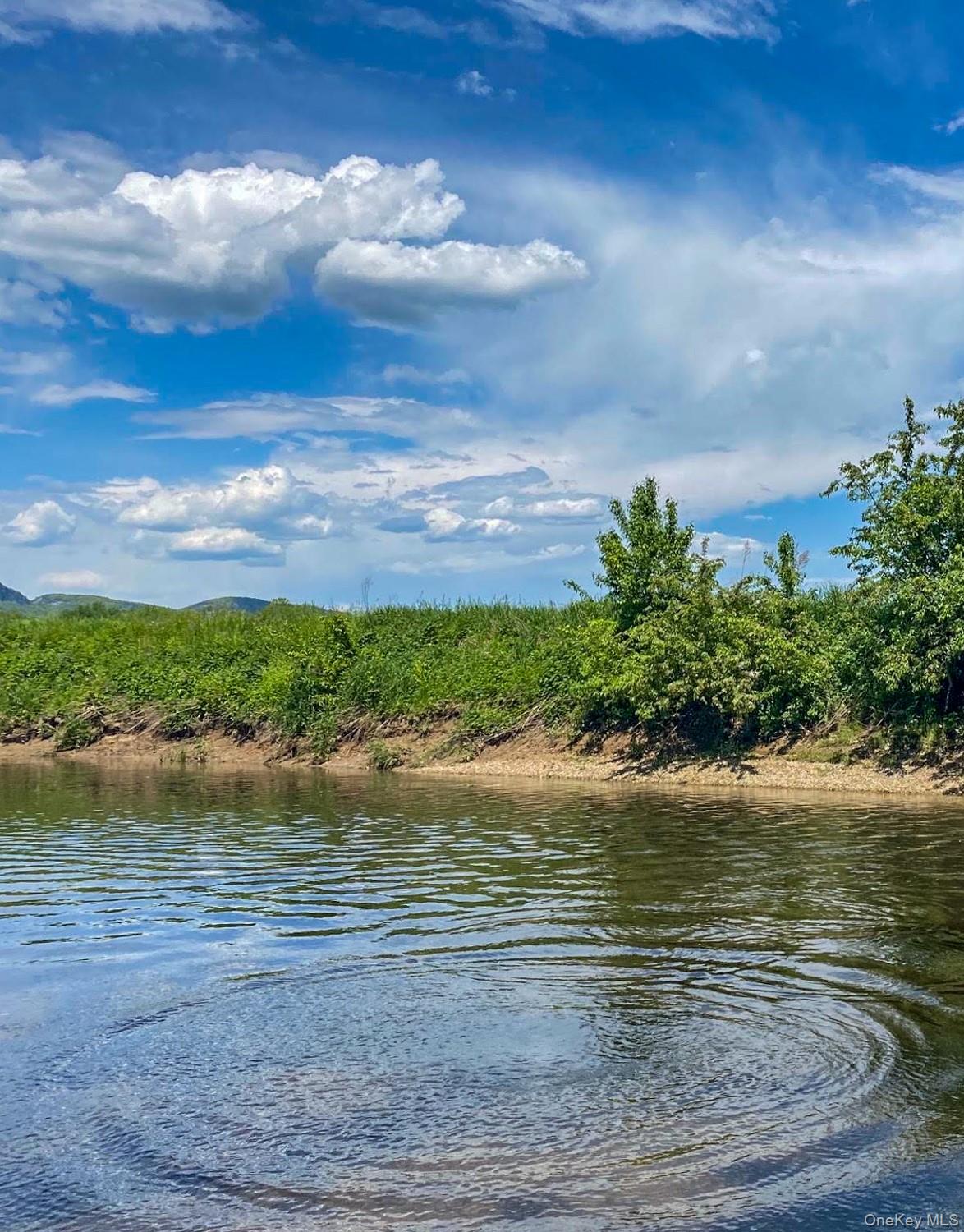 1201 Bruynswick Road