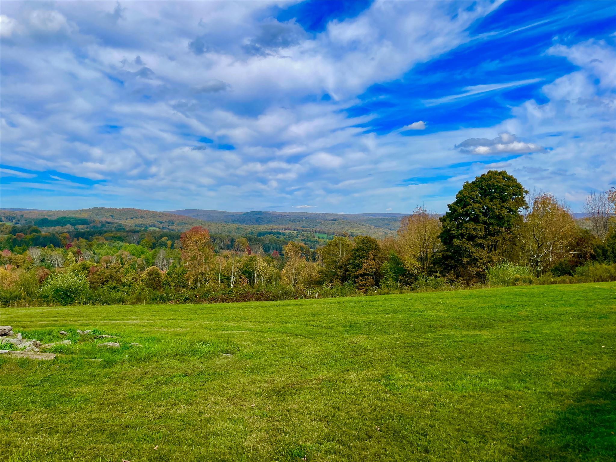 271 Hemmer Road, Youngsville, New York image 29