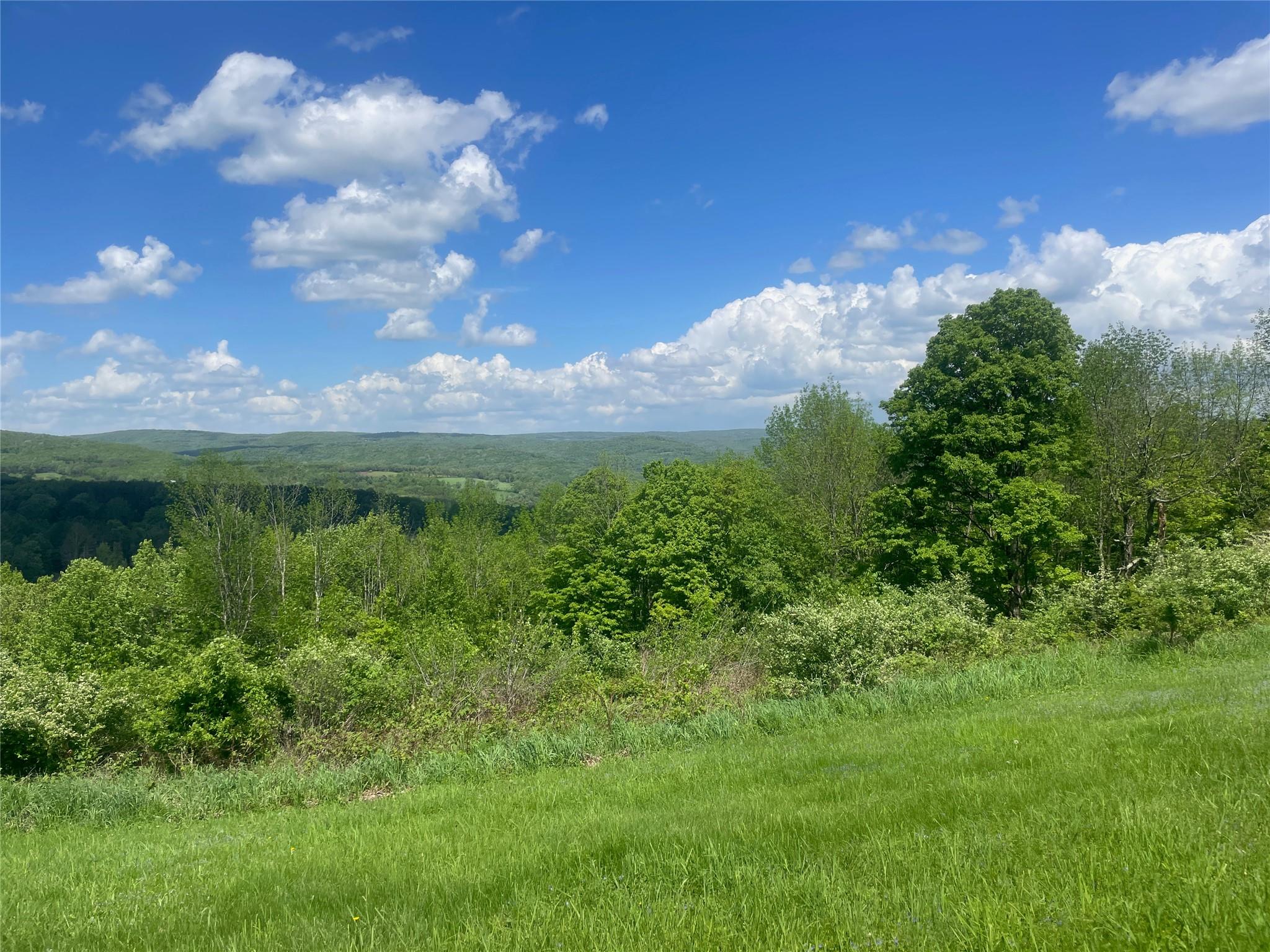 271 Hemmer Road, Youngsville, New York image 26