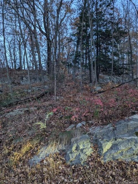 Vacant Land For Sale - 250 Hortontown Road<br/> Putnam County, Hopewell Junction, NY 12533
