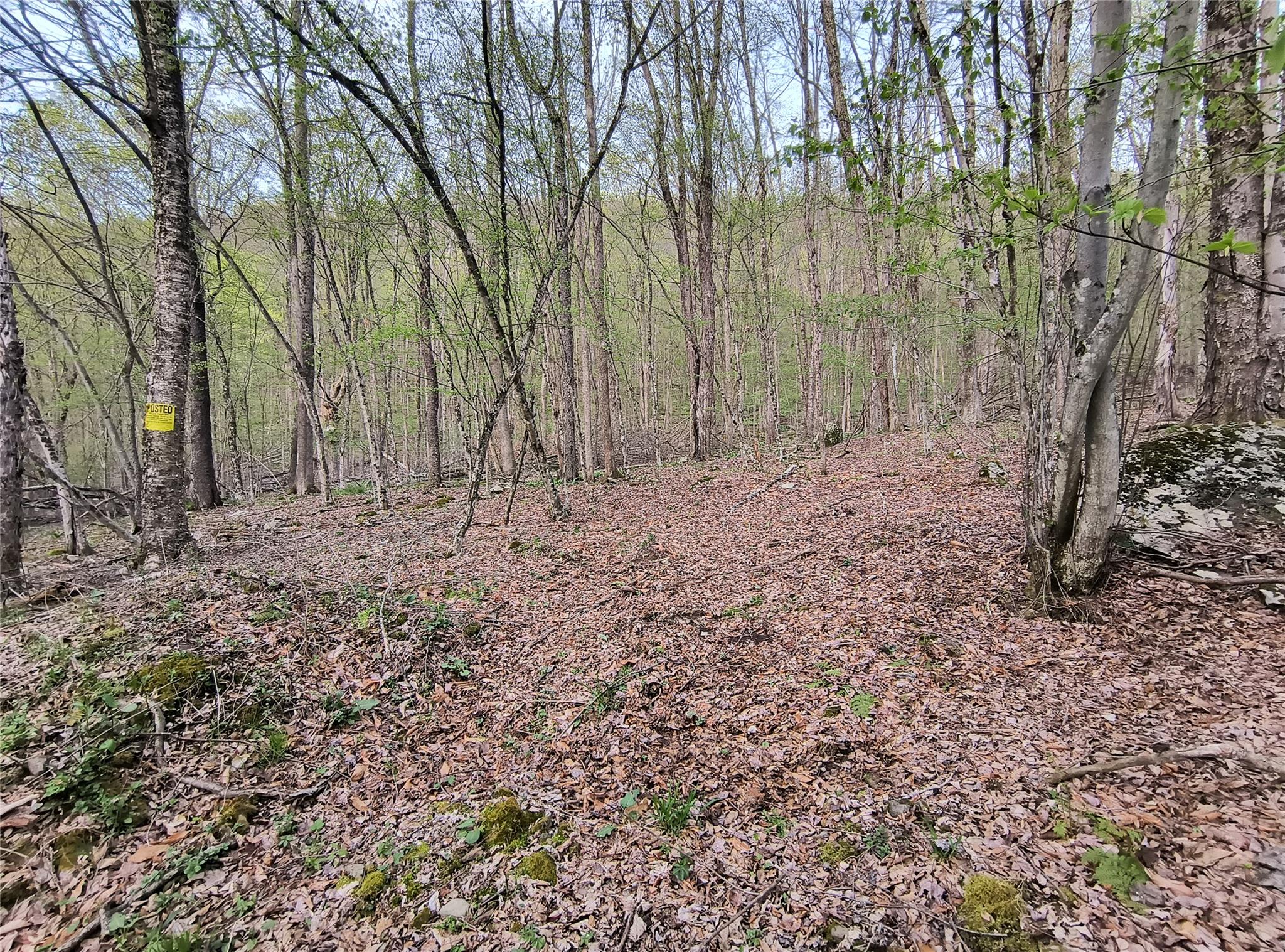 Chiloway Road, Hancock, New York image 14