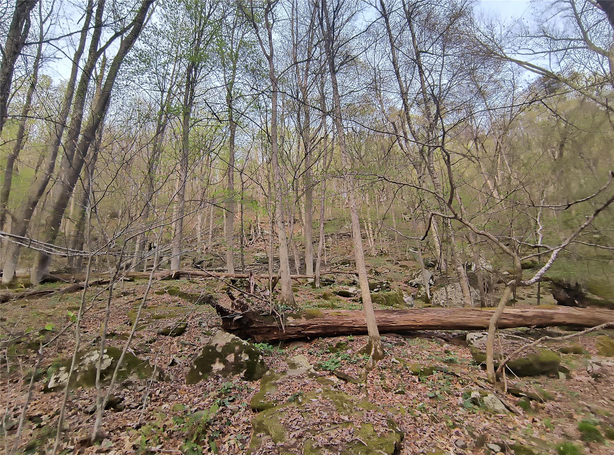 Chiloway Road, Hancock, New York image 6