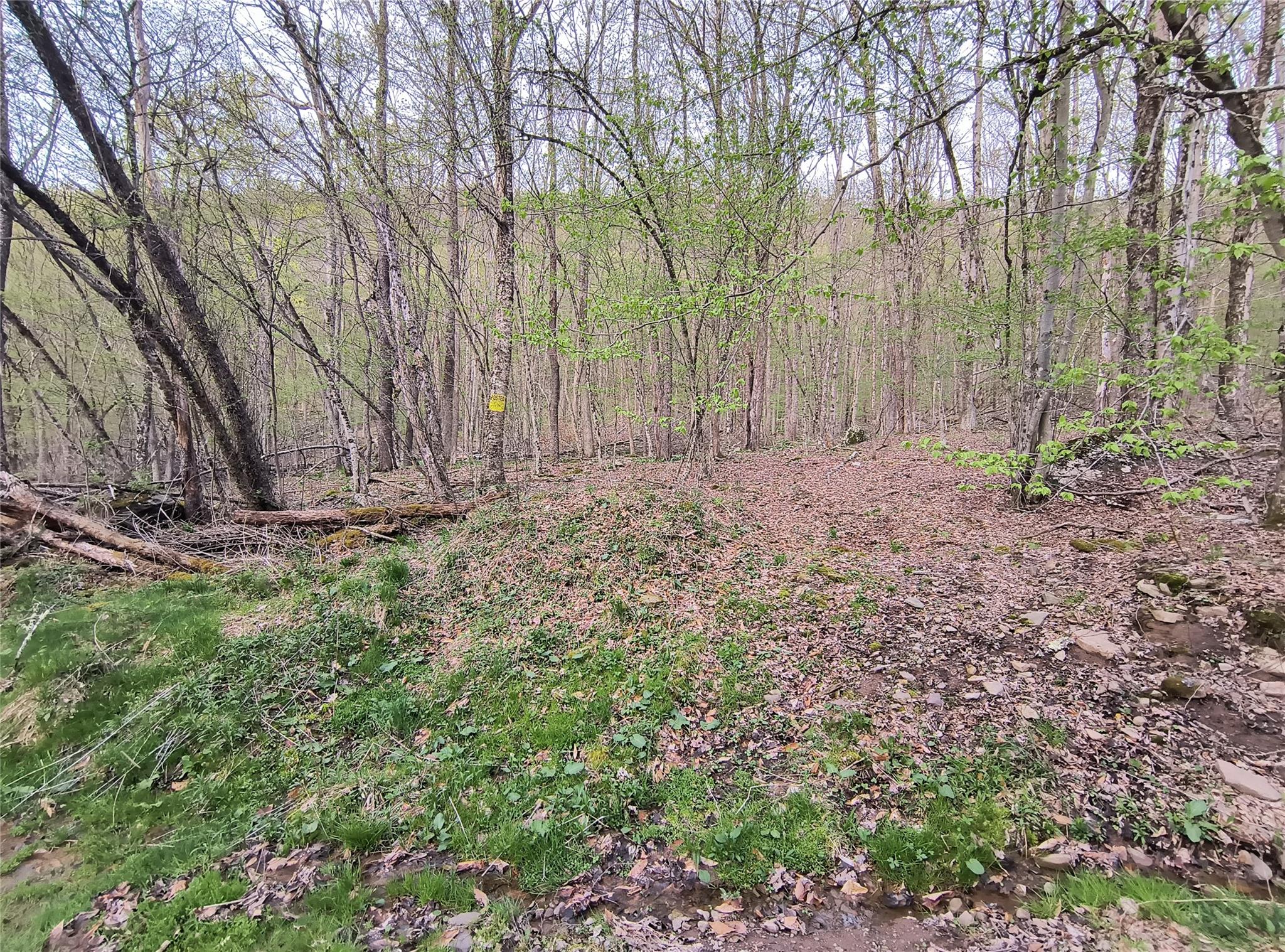 Chiloway Road, Hancock, New York image 11