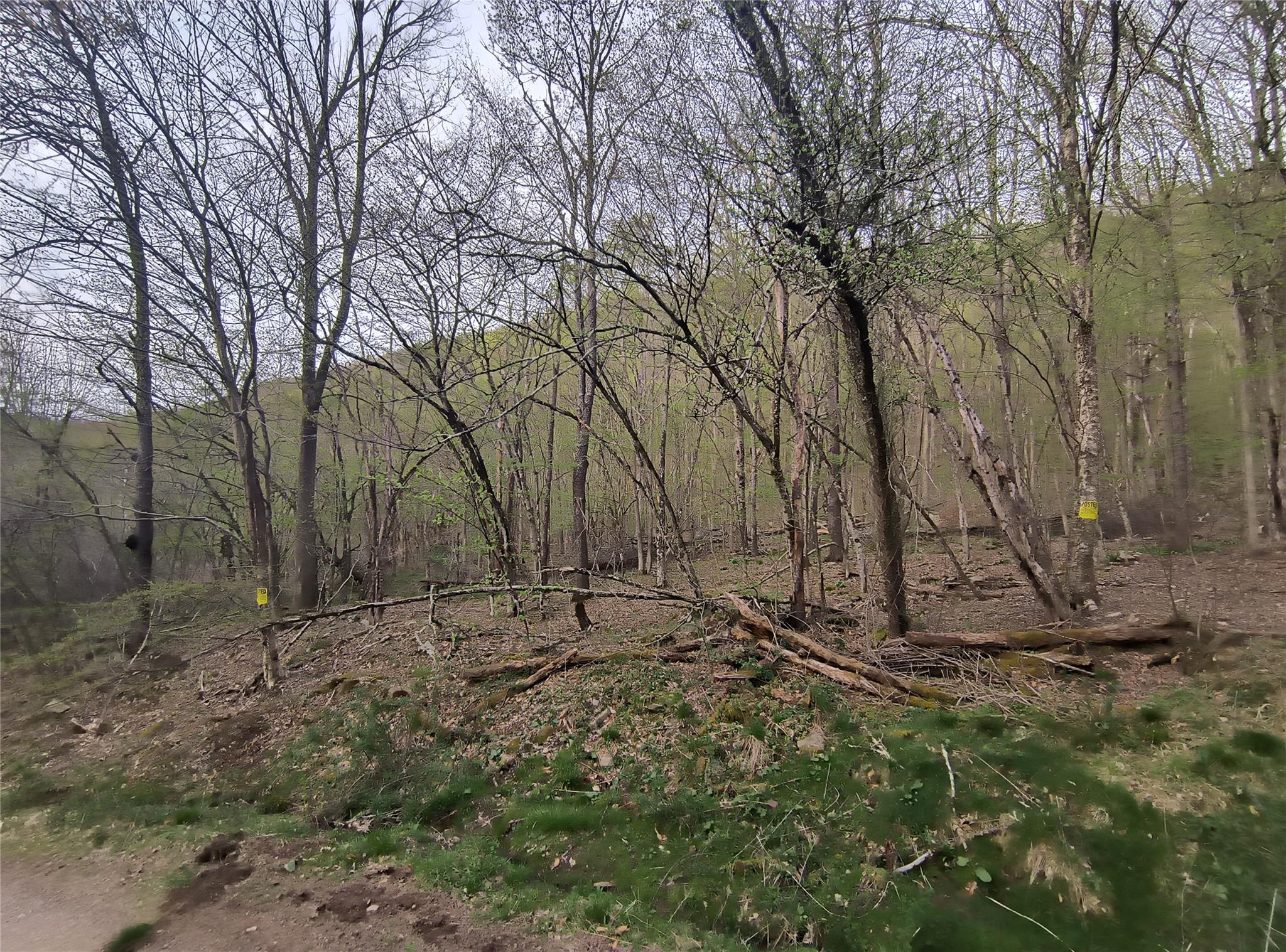 Chiloway Road, Hancock, New York -  - 