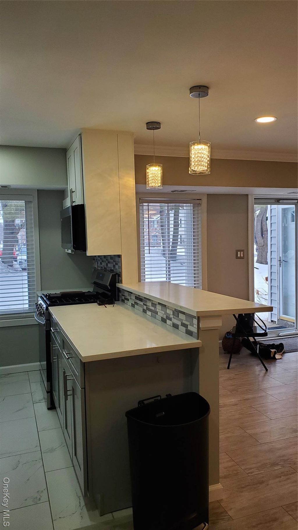 Photo of 11 Idaho Ct #11, Coram, NY 11727 (MLS # 963054)