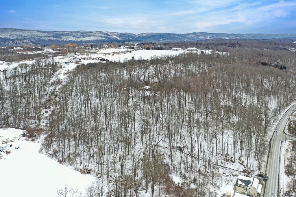 Photo of 163 Old State Route 22, Dover Plains, NY 12522 (MLS # 961979)