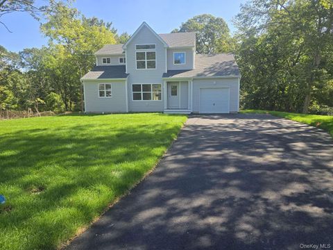 Photo of 63 Gray Avenue, Medford, NY 11763 (MLS # 928979)