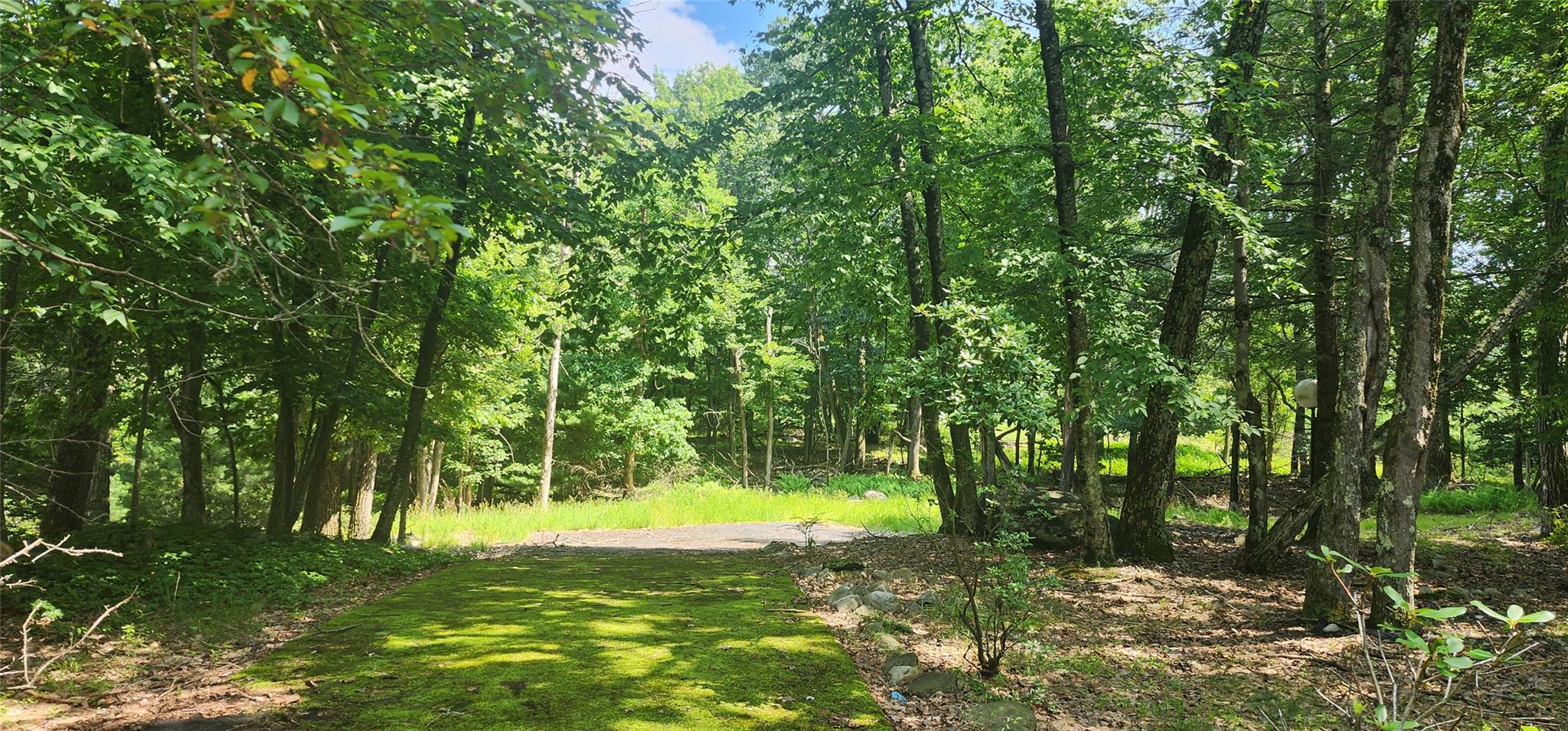 64 Pebble Path, Rock Hill, New York image 1