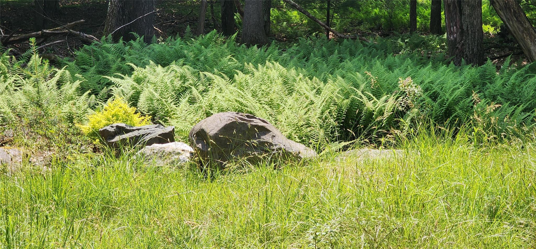 64 Pebble Path, Rock Hill, New York image 11