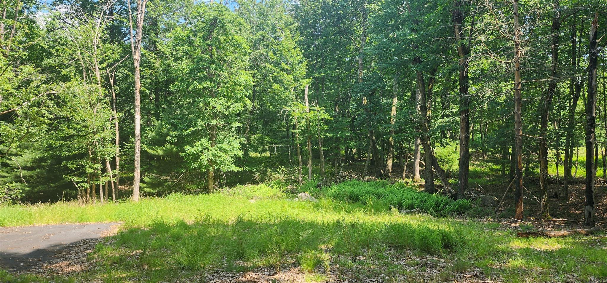 64 Pebble Path, Rock Hill, New York image 5