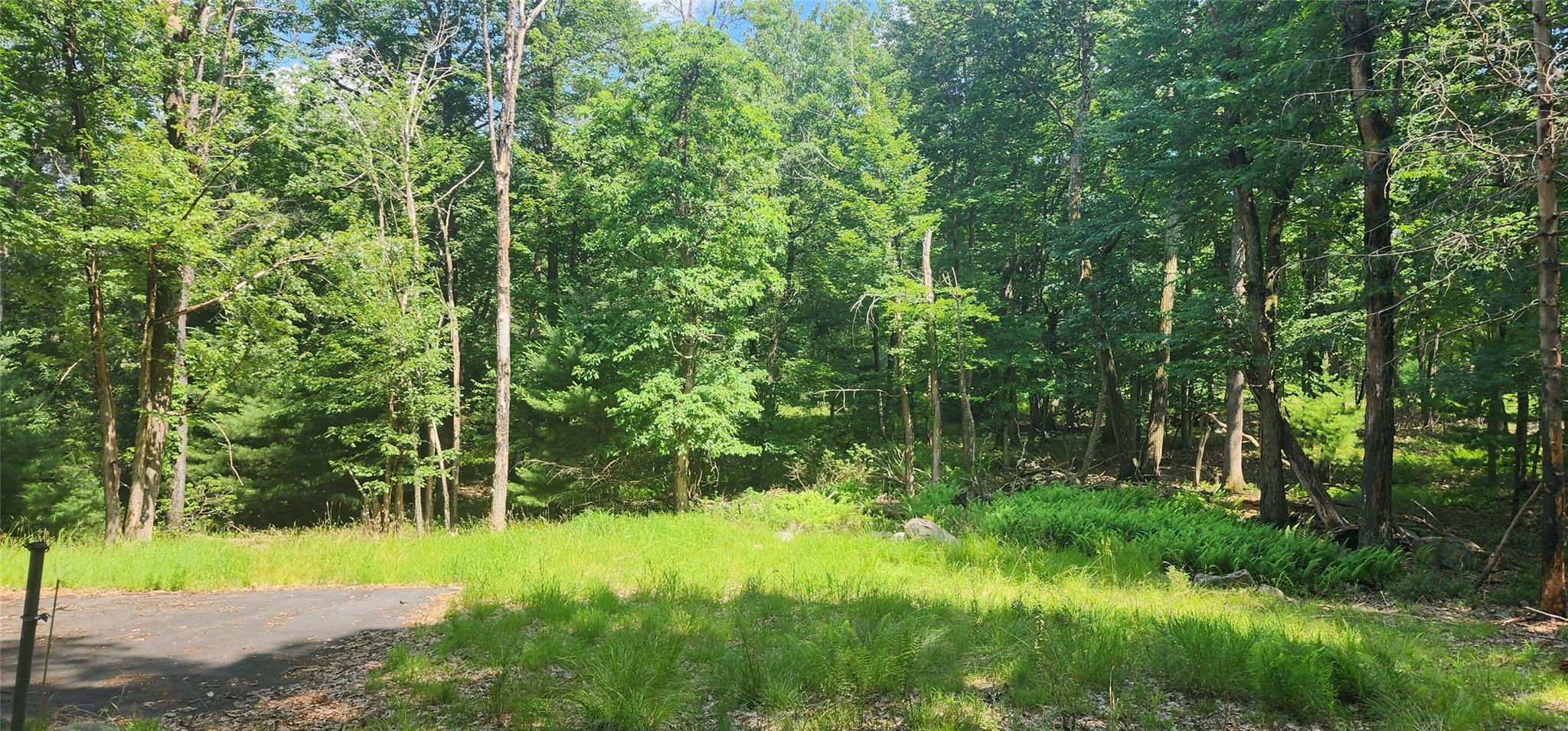 64 Pebble Path, Rock Hill, New York image 8