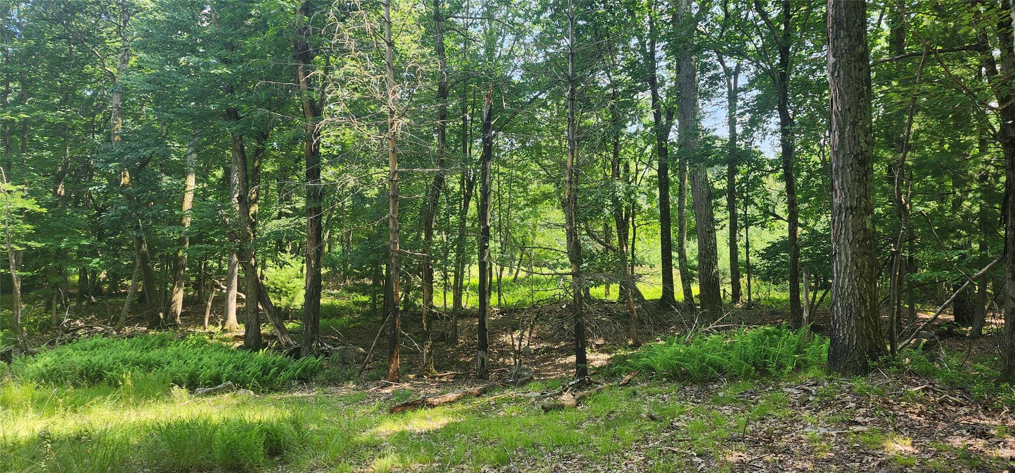 64 Pebble Path, Rock Hill, New York image 7