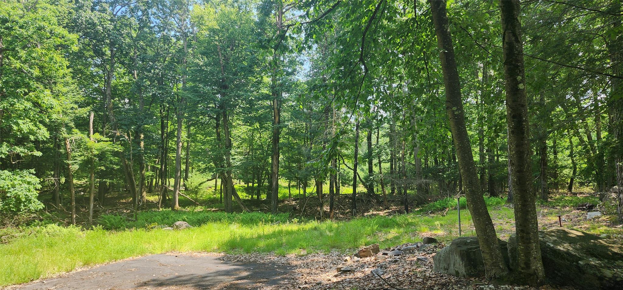 64 Pebble Path, Rock Hill, New York image 4