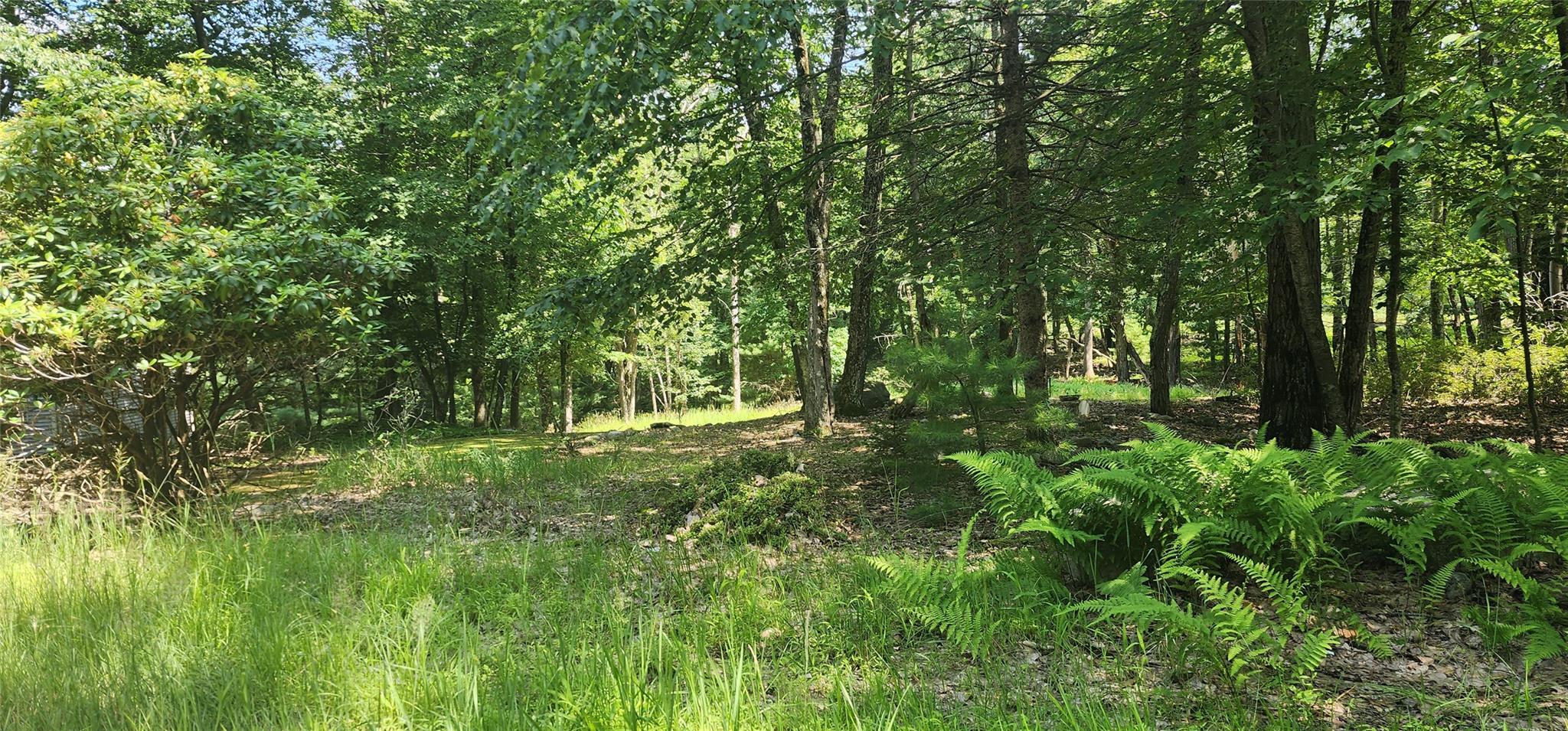 64 Pebble Path, Rock Hill, New York image 3