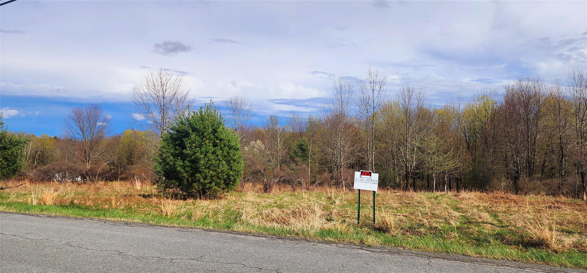 Budd Road, Woodbourne, New York image 5
