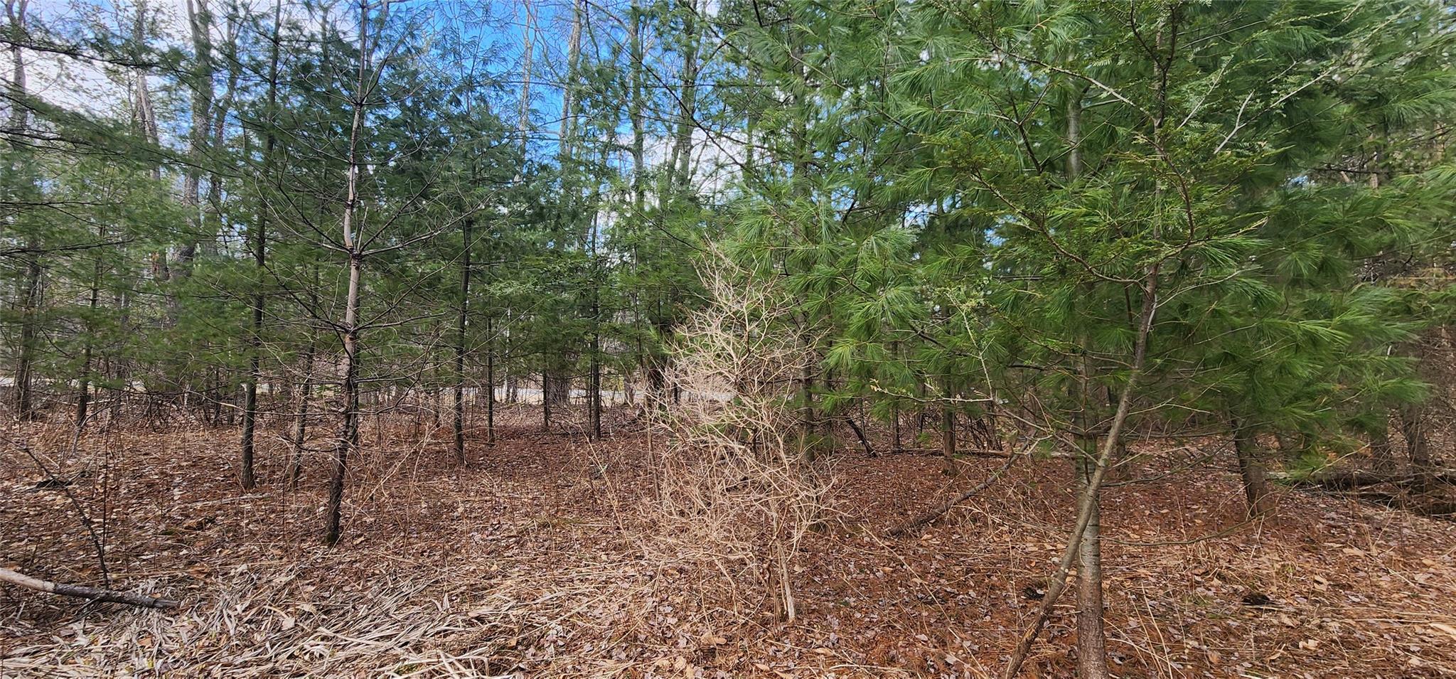 State Route 42 Highway, Grahamsville, New York image 8