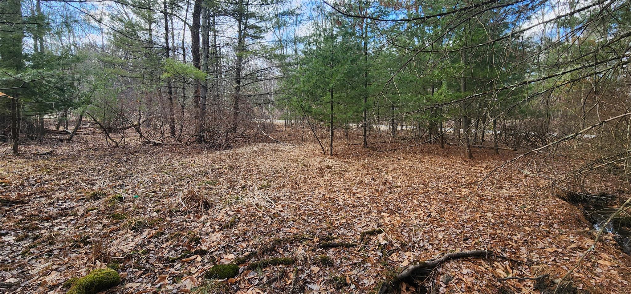 State Route 42 Highway, Grahamsville, New York image 7