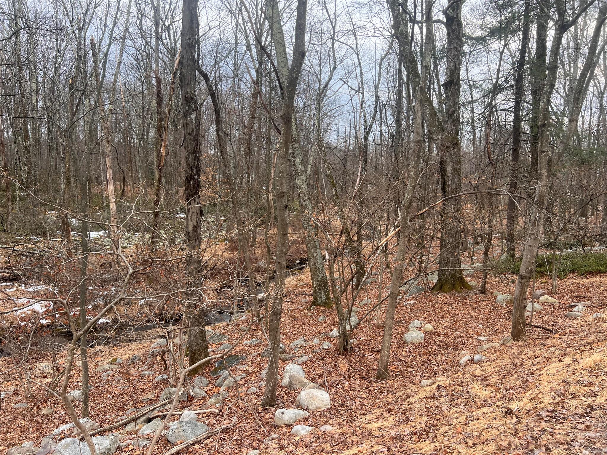 Sawyer Lane, Pine Bush, New York image 2